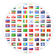 Multi langauge multi domain